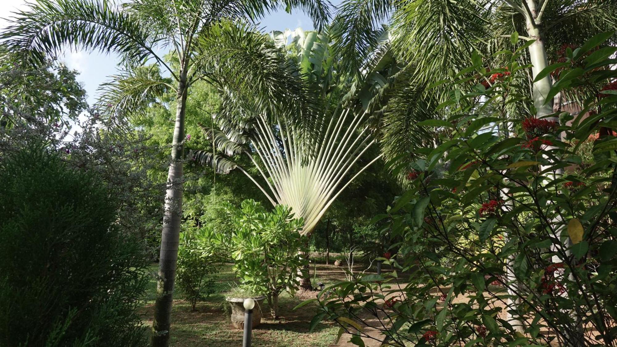 Salt Lake Cabanas & Restaurant Tangalle Exterior foto